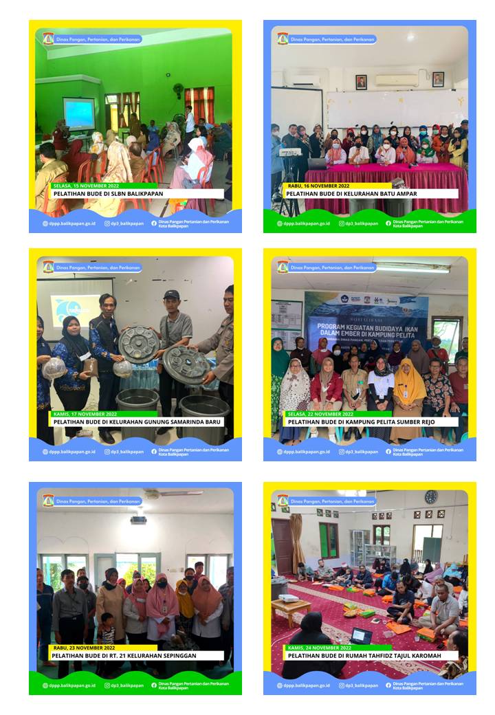 Pelatihan Budidaya Ikan Dalam Ember (BUDE) oleh Dinas Pangan, Pertanian dan Perikanan Kota Balikpapan Pelatihan Budidaya Ikan Dalam Ember (BUDE) oleh Dinas Pangan, Pertanian dan Perikanan Kota Balikpapan