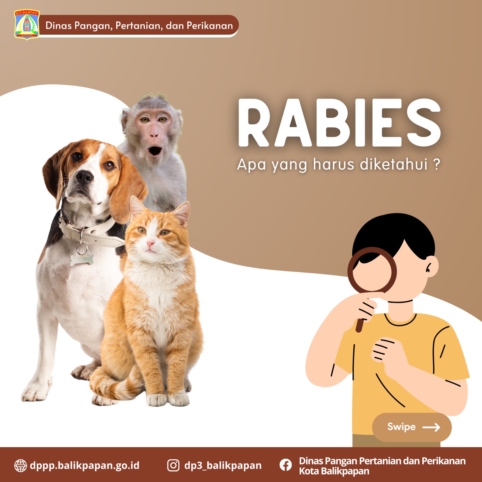 Rabies, Apa yang Harus Diketahui?