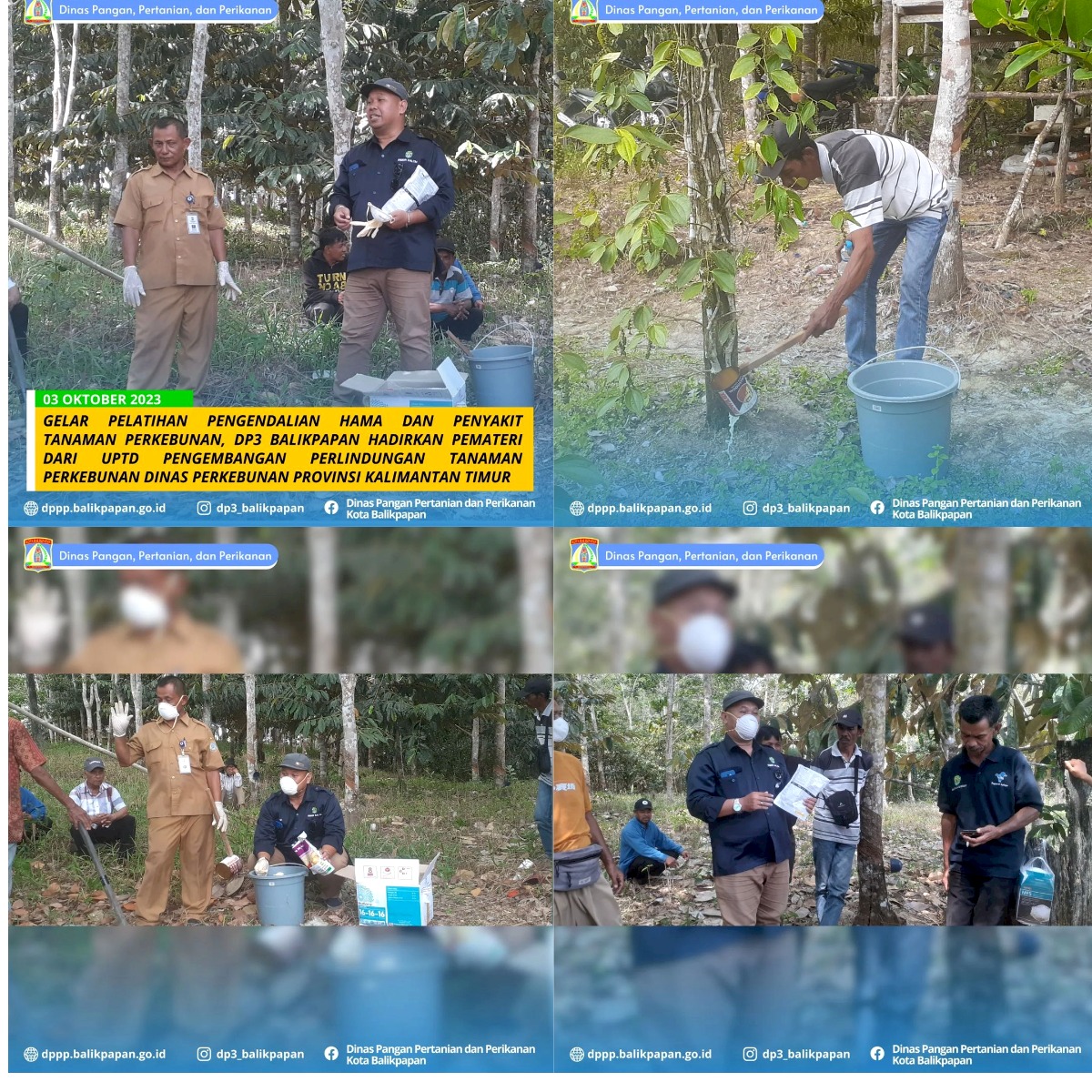 Gelar Pelatihan Pengendalian Hama dan Penyakit Tanaman Perkebunan, DP3 Balikpapan Hadirkan Pemateri dari UPTD Pengembangan Perlindungan Tanaman Perkebunan Dinas Perkebunan Provinsi Kalimantan Timur Gelar Pelatihan Pengendalian Hama dan Penyakit Tanaman Perkebunan, DP3 Balikpapan Hadirkan Pemateri dari UPTD Pengembangan Perlindungan Tanaman Perkebunan Dinas Perkebunan Provinsi Kalimantan Timur