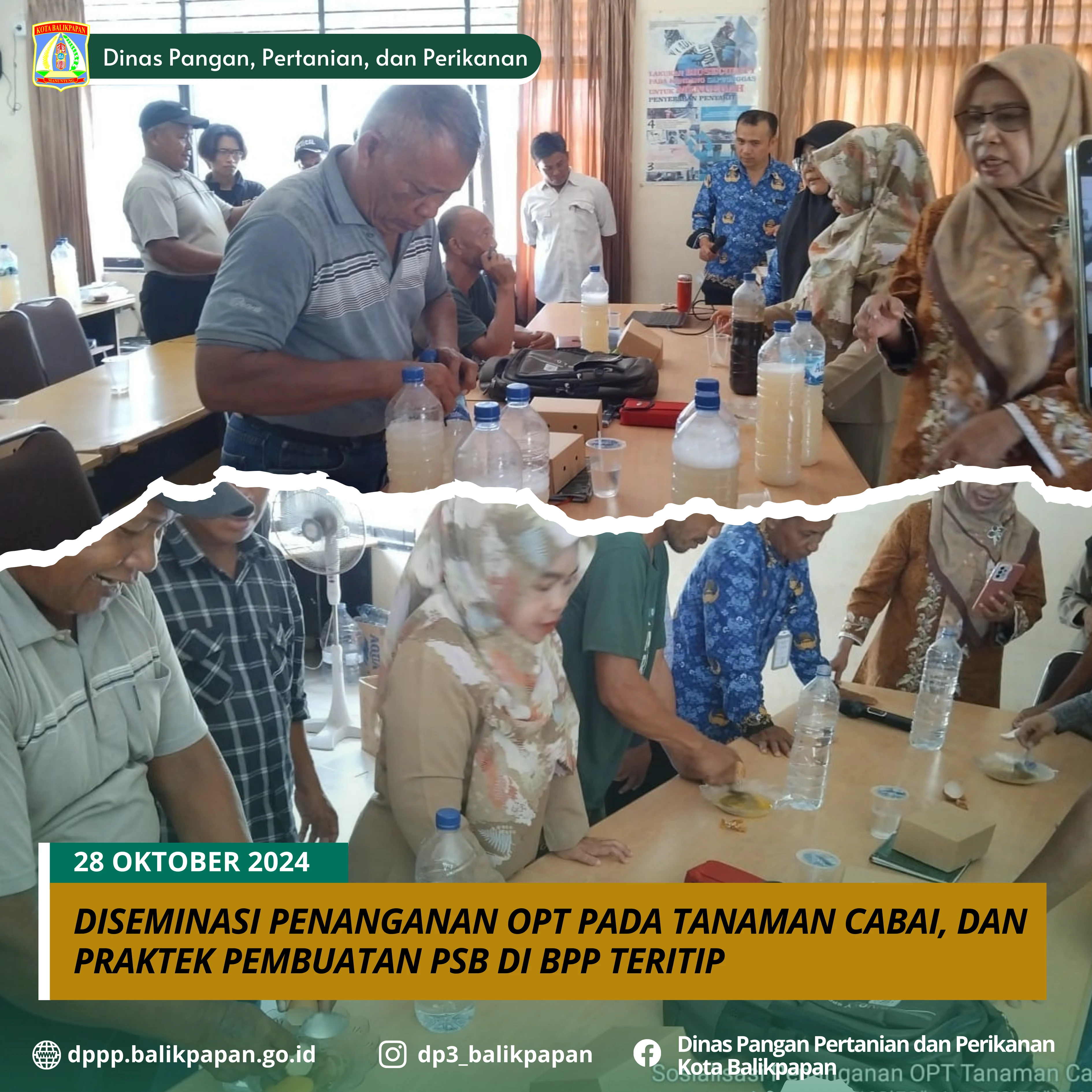 Diseminasi Penanganan OPT pada Tanaman Cabai, dan Praktek Pembuatan PSB di BPP Teritip