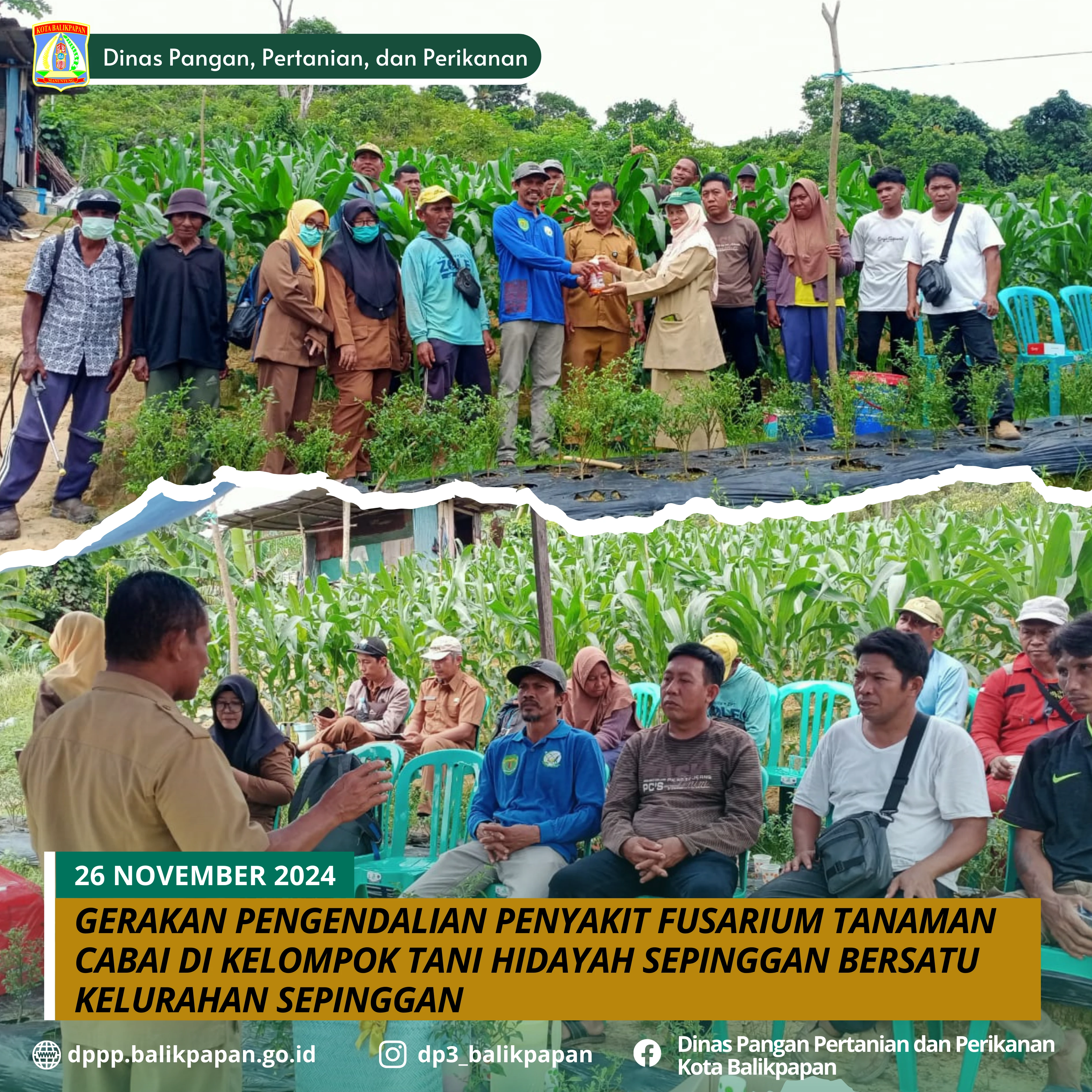 Gerakan Pengendalian Ulat Grayak Tanaman Jagung dalam rangka Program Ketahanan Pangan Gerakan Pengendalian Ulat Grayak Tanaman Jagung dalam rangka Program Ketahanan Pangan