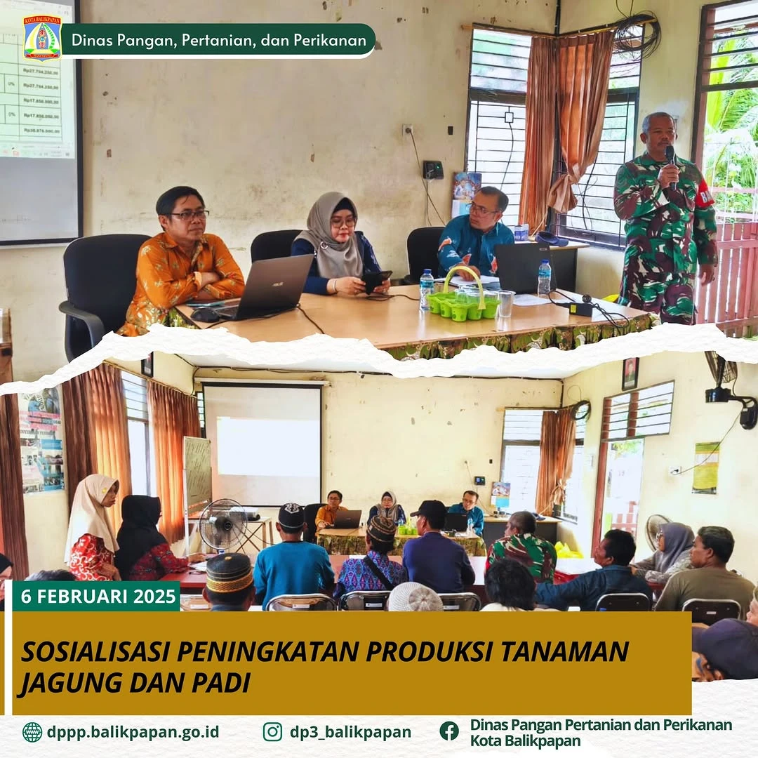 Sosialisasi Peningkatan Produksi Tanaman Jagung dan Padi di Aula Balai Penyuluhan Pertanian (BPP) Teritip Sosialisasi Peningkatan Produksi Tanaman Jagung dan Padi di Aula Balai Penyuluhan Pertanian (BPP) Teritip