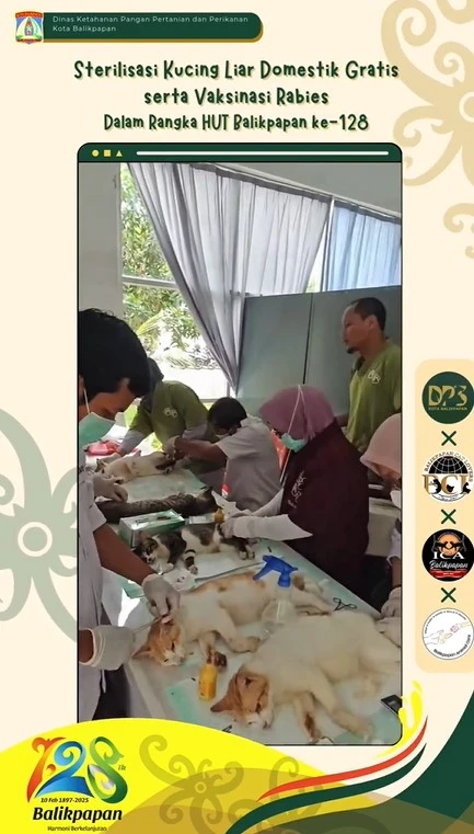 Sterilisasi Kucing Liar Gratis dan Vaksinasi Rabies dalam rangka HUT Balikpapan ke-128 Sterilisasi Kucing Liar Gratis dan Vaksinasi Rabies dalam rangka HUT Balikpapan ke-128