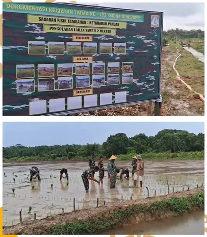 Kegiatan TMDD Penanaman Bibit Padi Inpari 30 di Persawahan Gn. Binjai Kel. Teritip Kota Balikpapan Kegiatan TMDD Penanaman Bibit Padi Inpari 30 di Persawahan Gn. Binjai Kel. Teritip Kota Balikpapan