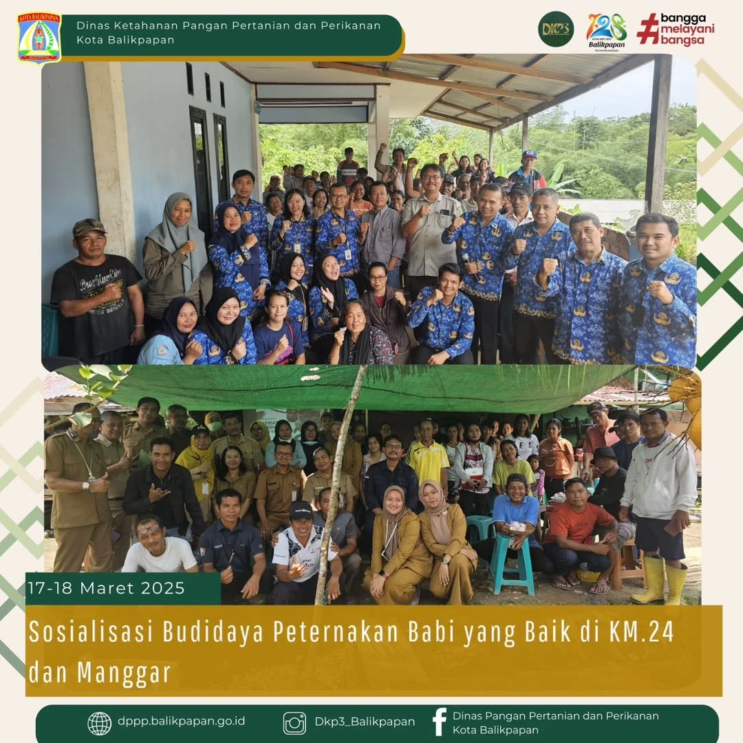 Sosialisasi Budidaya Peternakan Babi yang Baik Sosialisasi Budidaya Peternakan Babi yang Baik