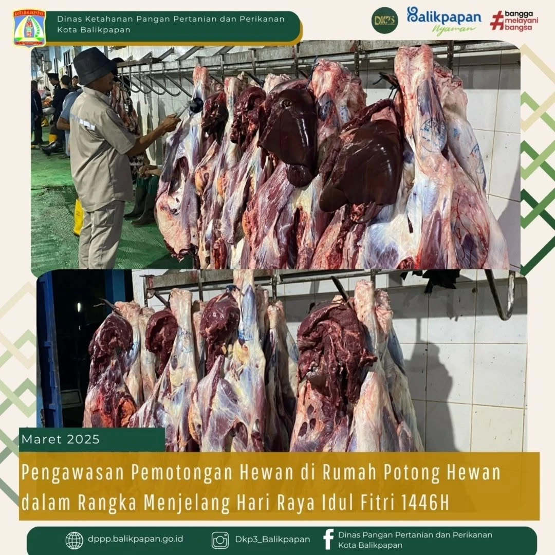 Pengawasan Pemotongan Hewan di Rumah Potong Hewan Pengawasan Pemotongan Hewan di Rumah Potong Hewan
