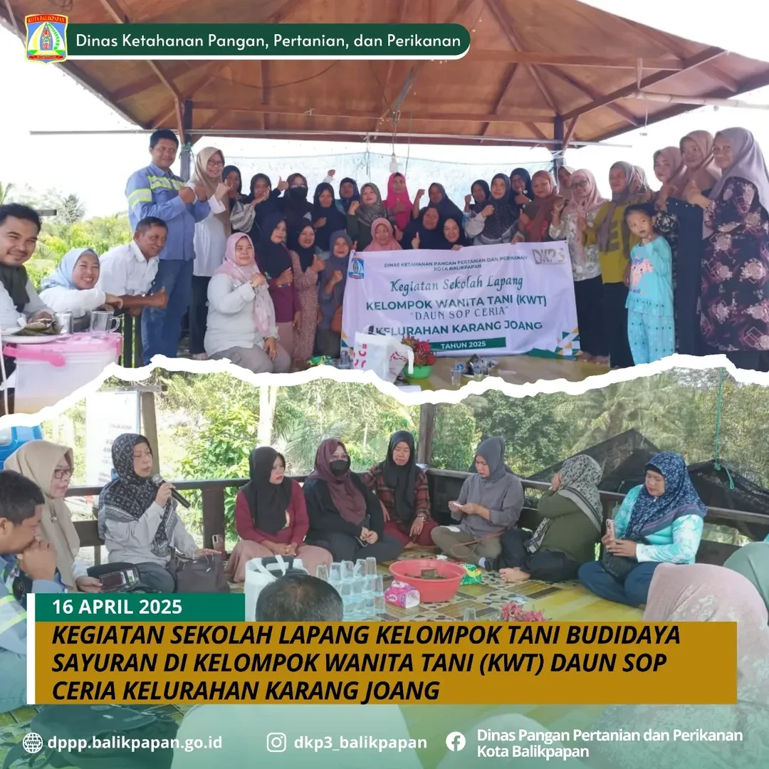 Kegiatan Sekolah Lapang (SL) di Kelompok Wanita Tani Daun Sop Ceria Kelurahan Karang Joang Tahun 2025 Kegiatan Sekolah Lapang (SL) di Kelompok Wanita Tani Daun Sop Ceria Kelurahan Karang Joang Tahun 2025